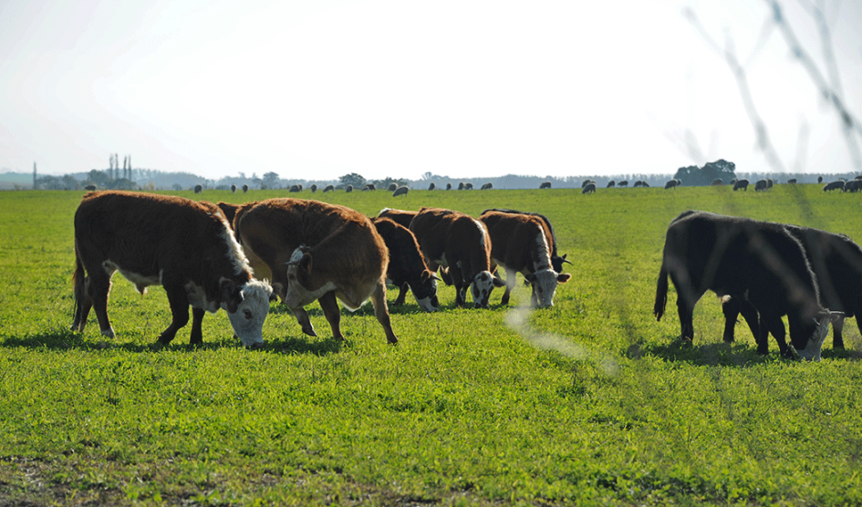 Salto será sede de una capacitación clave sobre el nuevo Despacho de Tropa Digital
