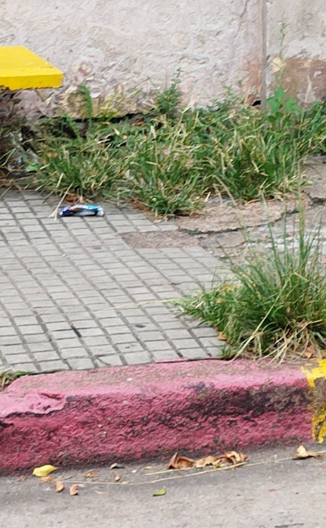 Latidos: Paradas descuidadas, cierra su temporada y más...