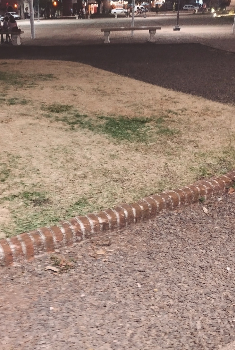 Latidos: Pasto seco, pérdidas de agua y más...