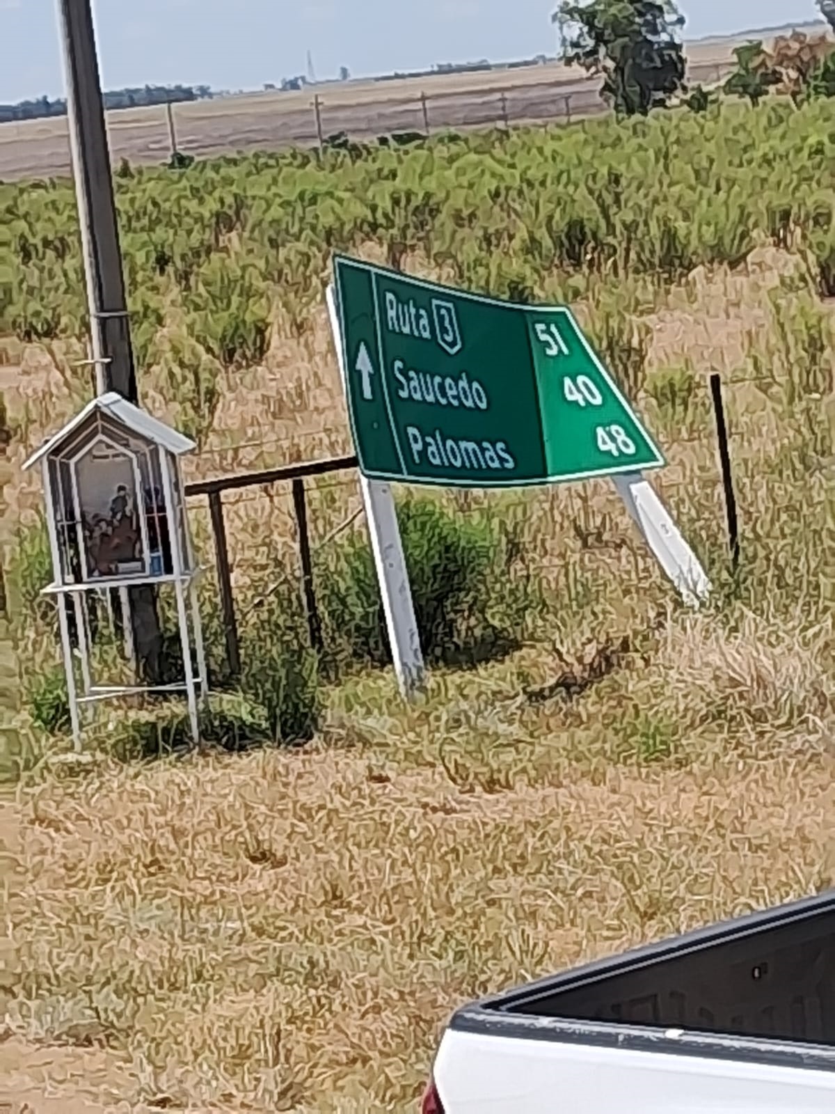 Latidos: Reparar el cartel, lluvia, vida y color y más...