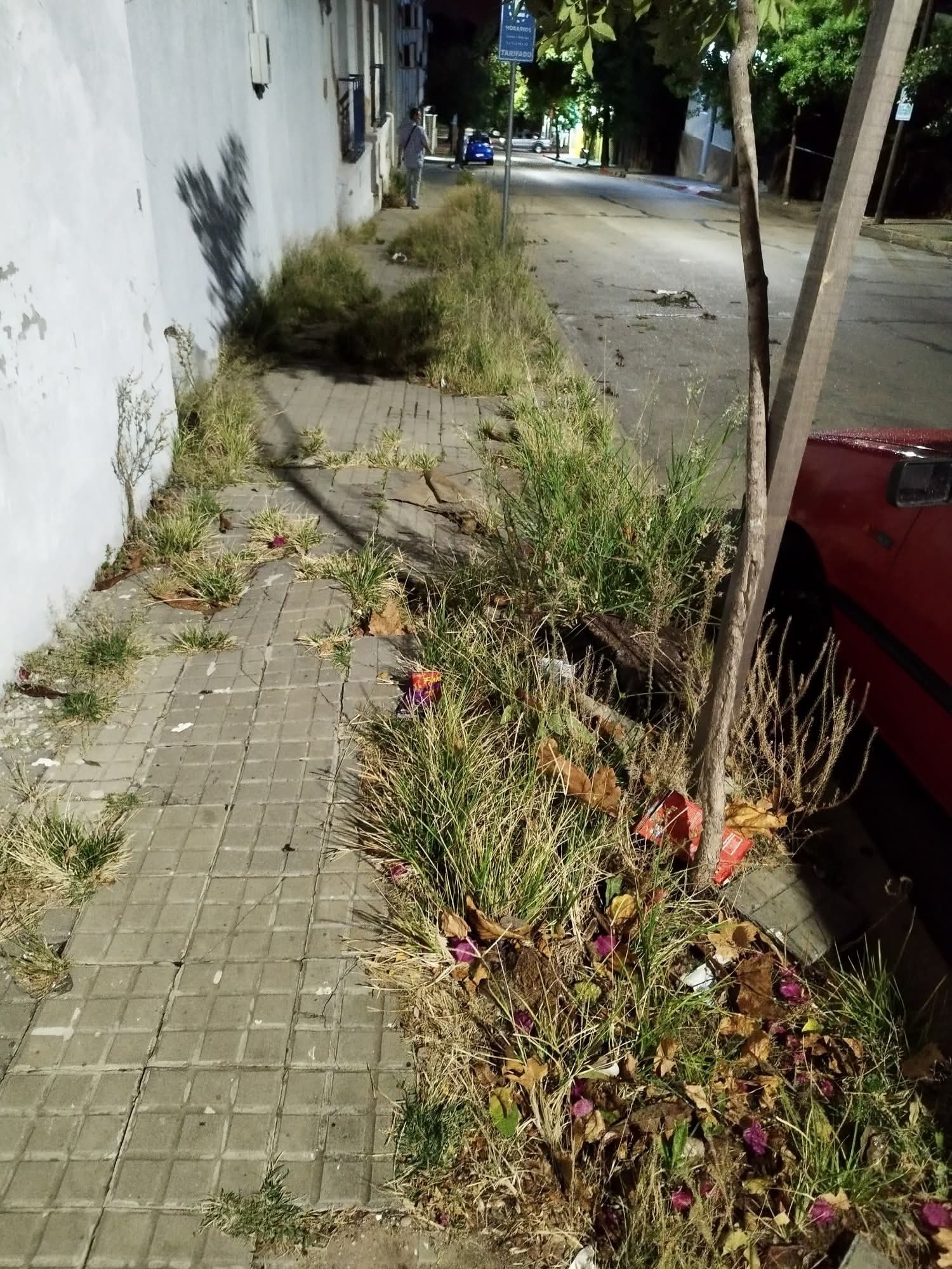 Latidos: Veredas obstruidas: inicio de la cuaresma y más...