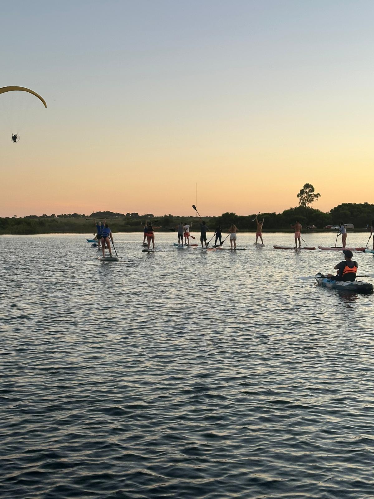 Latidos: Nueva tendencia, Avenida completa y más...