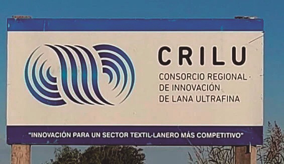 Con el mercado de lanas reacomodándose, Crilu se consolida en las ultrafinas