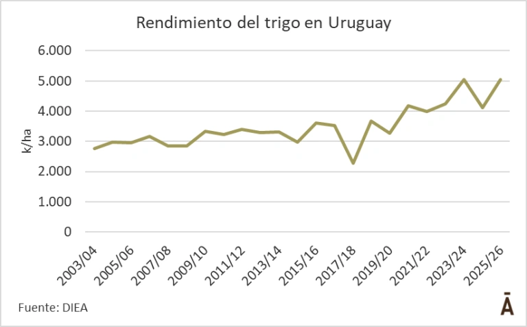 Batacazo del trigo: tuvo un rendimiento récord en la última zafra