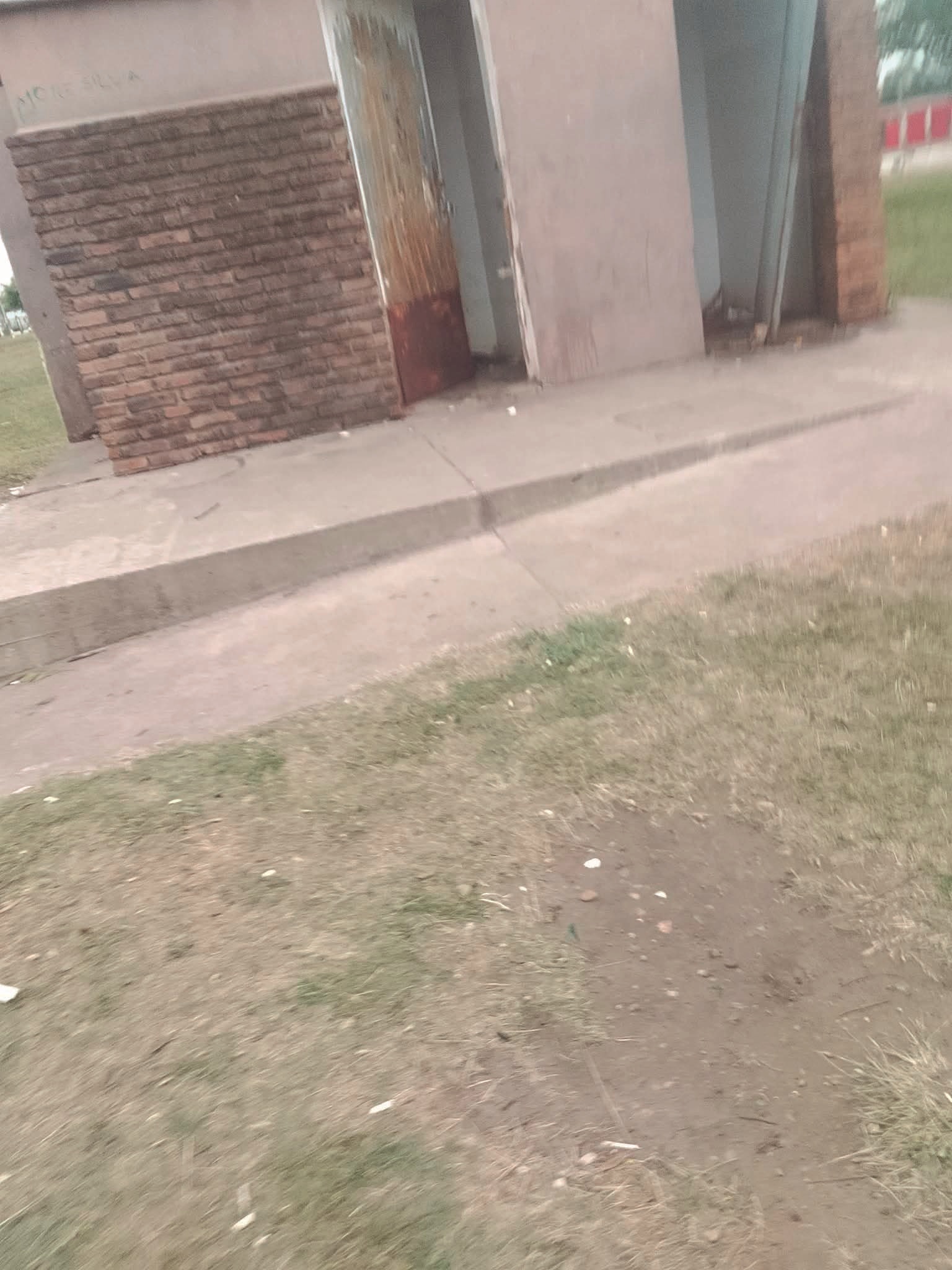 Latidos: Deplorables, Saturados, Vandalismo y más...