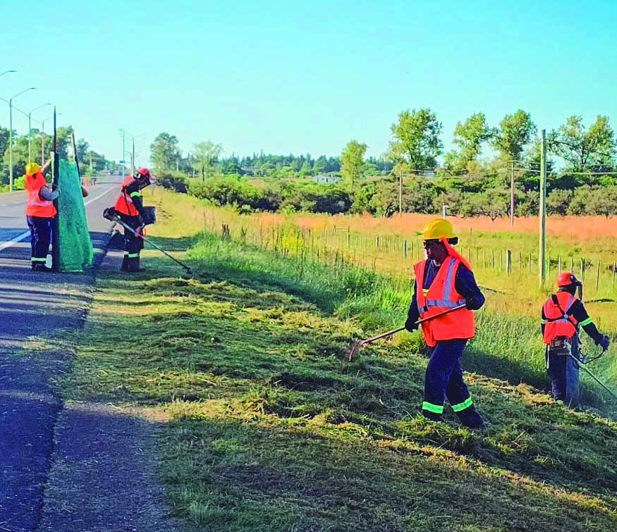 Previo a Semana de Turismo:  podas y limpieza sobre Ruta 3