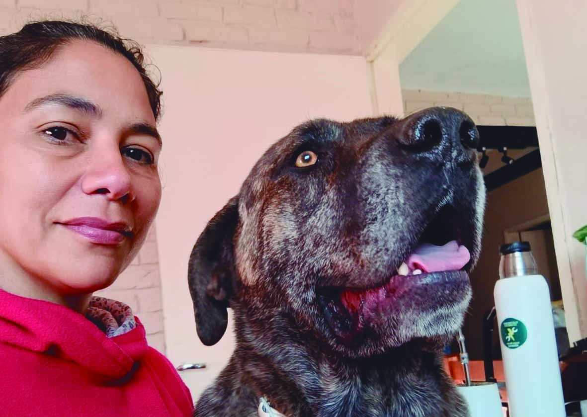 Mordeduras de perros: un problema frecuente que interpela a la tenencia responsable de los animales