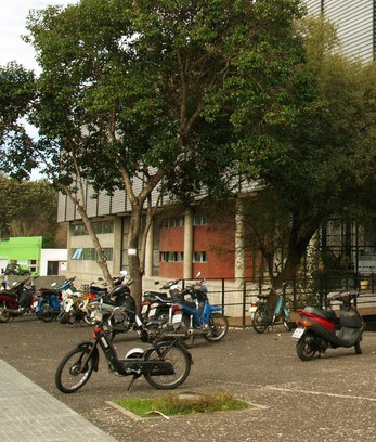 Udelar Salto: recuerdan  prohibición de estacionar  motos en explanada central