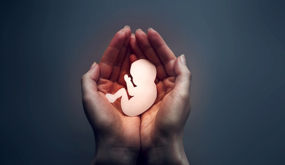 Salto será sede de un retiro católico  para afrontar las secuelas del aborto