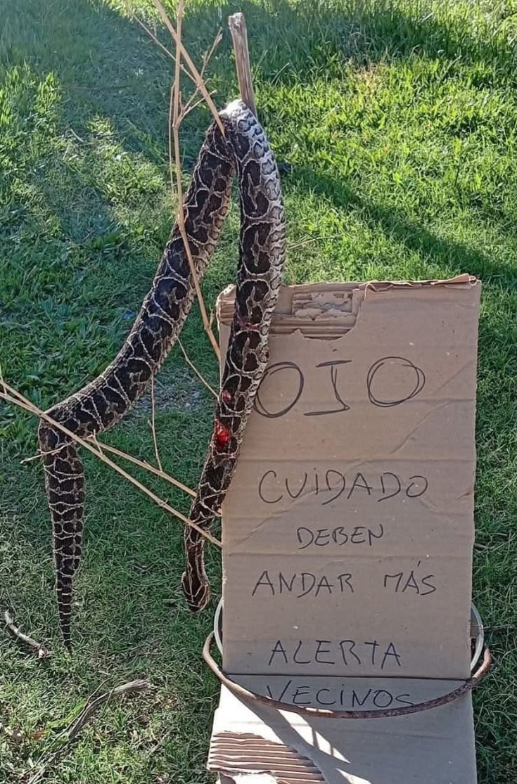 Latidos: Productor advierte, pérdida de agua y más...