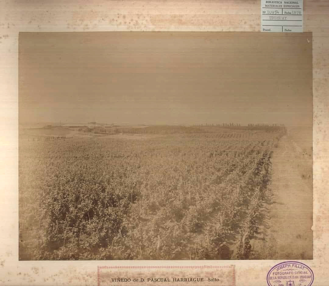 Fotografía de la Biblioteca Nacional de Uruguay.