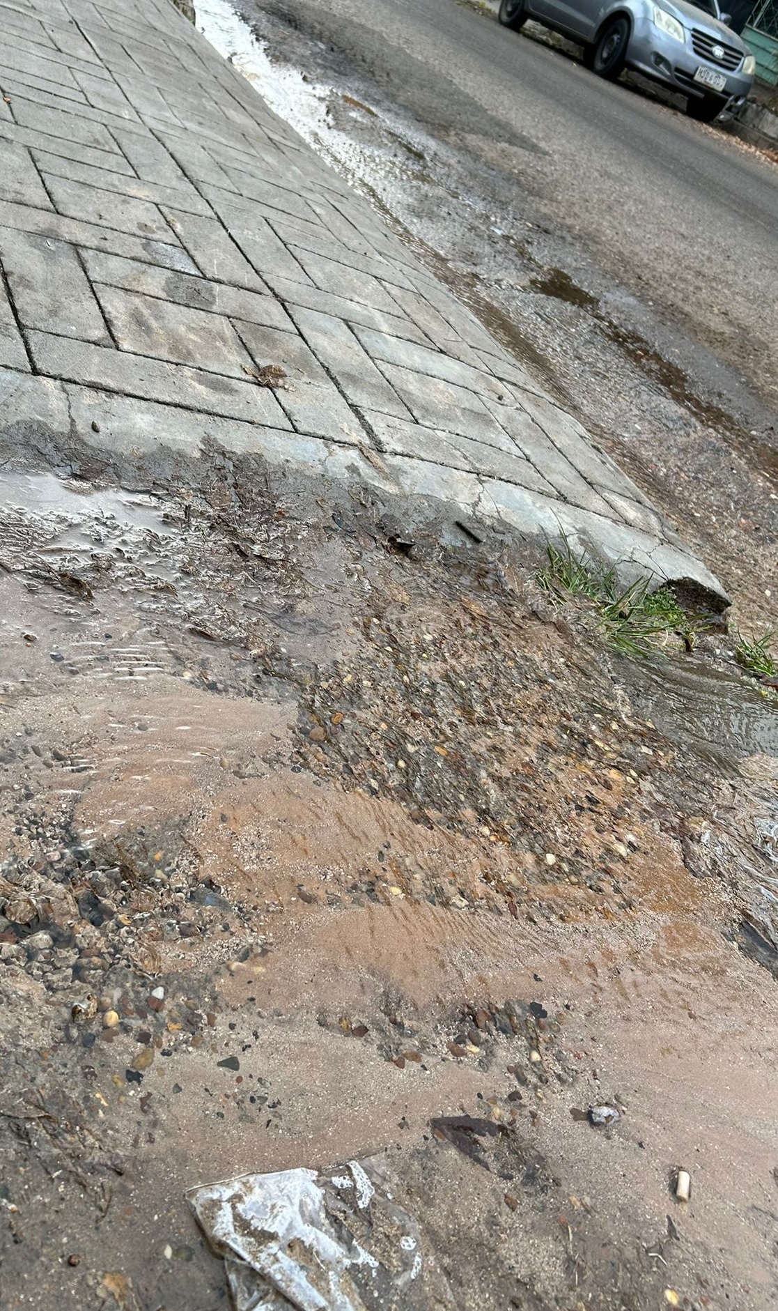 Latidos: Pérdida de agua, Heladera literaria y más...