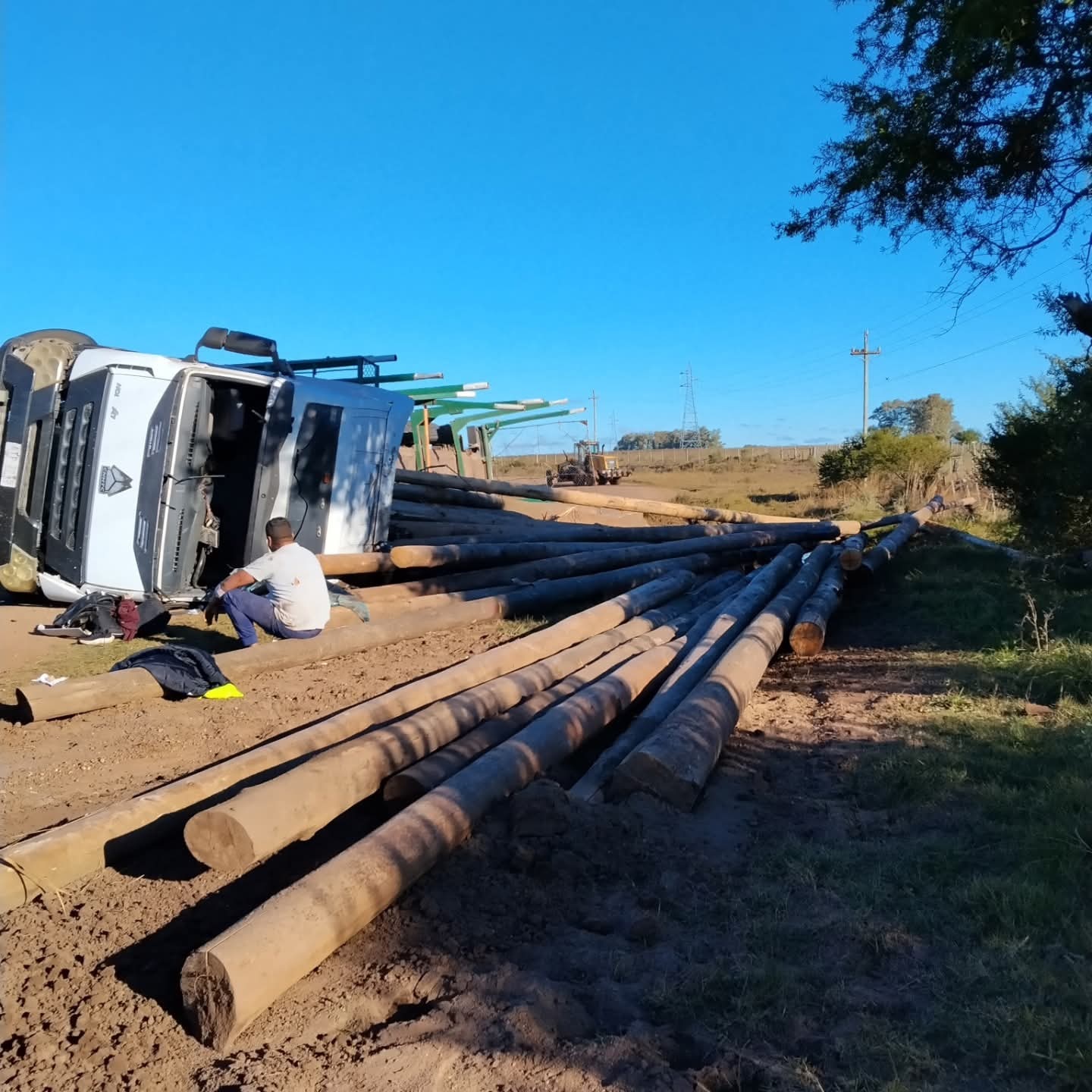 Camión cargado con madera volcó en curva pronunciada y su conductor salvó la vida de milagro