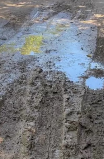 Látidos: Lluvia y barro, Problema de las hojas y más...