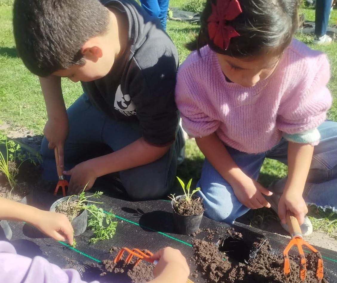 Niños y docentes consolidan la huerta  comunitaria del Parque Benito Solari 