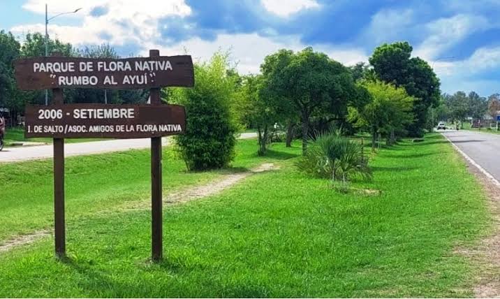 "Rumbo al Ayuí" celebra 20  años con jornada ambiental
