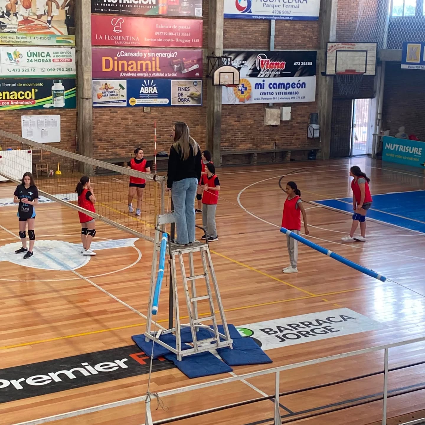 Femenino y masculino en Salteño de vóleibol