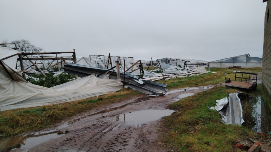 El Gobierno declaró la emergencia granjera en Salto y despliega asistencia urgente 