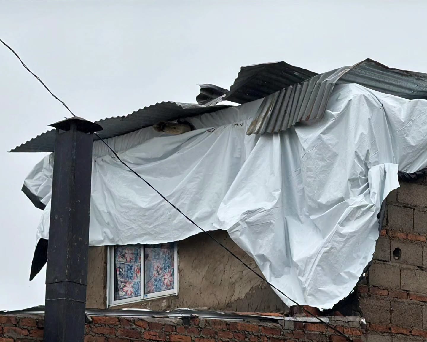 Plan Juntos intervendrá en más de  250 casas de Salto tras el temporal 