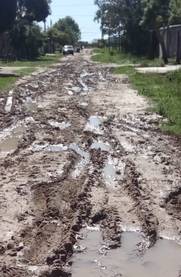 Latidos: Lluvias y humedad, No pueden más y más...