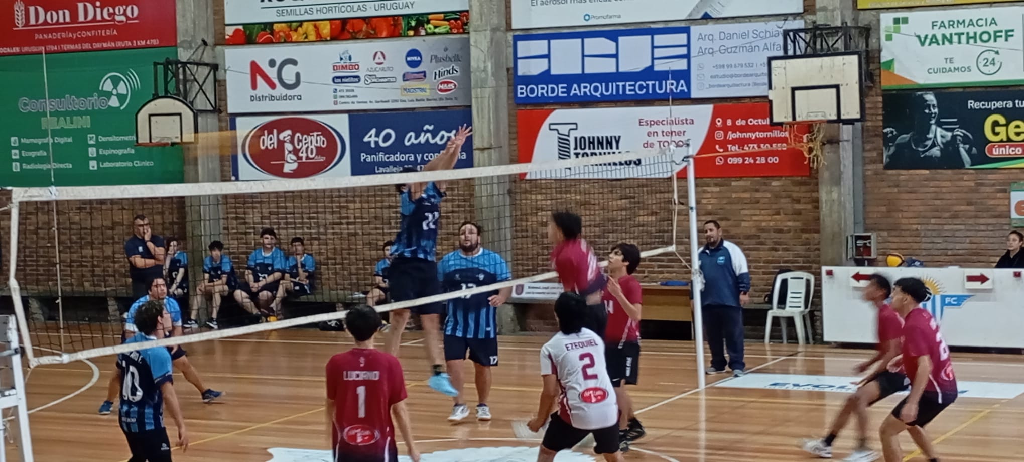 Vóleibol : La ASV reprograma su actividad tras suspensión, el domingo 23 no hay fecha  
