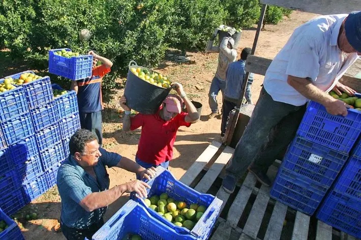 Crisis portuaria: exigen respuesta “urgente  y definitiva” ante la insostenible situación