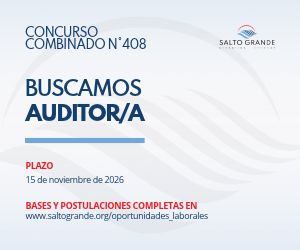CTM BUSCA AUDITORÍA