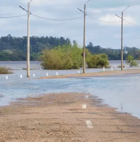 Puerto de Salto profundizará  descenso con un techo de 11,60 