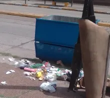 La basura desparramada no solo provoca mal olor, sino que aumenta la proliferación de insectos y roedores. 