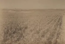 Fotografía de la Biblioteca Nacional de Uruguay.