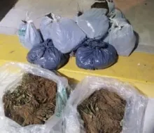 Incautaciones cercanas a los  $700.000 en procedimientos  en el puente de Salto Grande