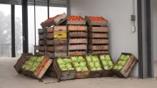 La CHN inicia la semana con fuerte dinamismo comercial 