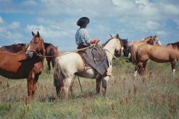 Rurales