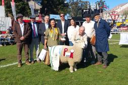 Romney Marsh mostró su rusticidad y eficiencia productiva