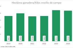 En kilos de novillos, el arrendamiento ganadero cayó 2% en 2024