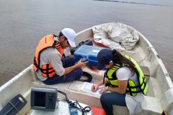 Realizarán una investigación para establecer cómo llegó la carpa plateada al río Uruguay