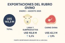 Exportaciones de lana crecen 5,3% y las finas marcan el rumbo