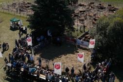 Los toros de Alfonso se colocaaron a US$ 7.702 