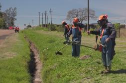 Parques y Jardines mejora  los accesos a la Expo Salto