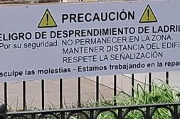 Latidos