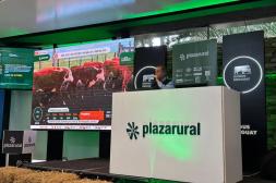 Plaza Rural concretó remate 310 con casi 100% de colocación