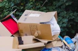Látidos: Cajas en la basura y más...