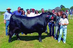 Bayucuá ganó en el Aberdeen Angus de Bozal 