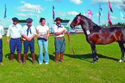 Los tres caballos criollos en la pista "representan muy bien a la raza" dijo el jurado Carlos Parietti