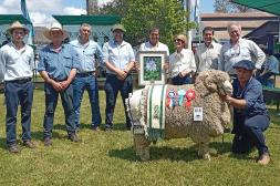 En la pista y en la esquila, "La Magdalena" marcó  la diferencia genética en el Merino Australiano