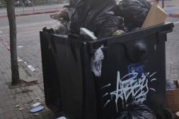 Látidos: Insostenible, a no descuidarse y más...