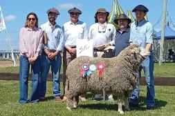 Merino Dohne con gran nivel en pista de Salto 2025