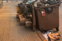 Latidos: No dan abasto, maltrato y más...