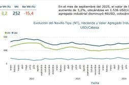 Informe de INAC: Valor del Novillo Tipo subió levemente en septiembre 