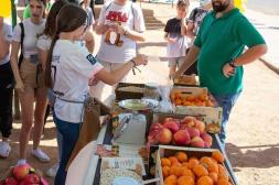 Salto se prepara para celebrar el  Día Mundial de la Alimentación 
